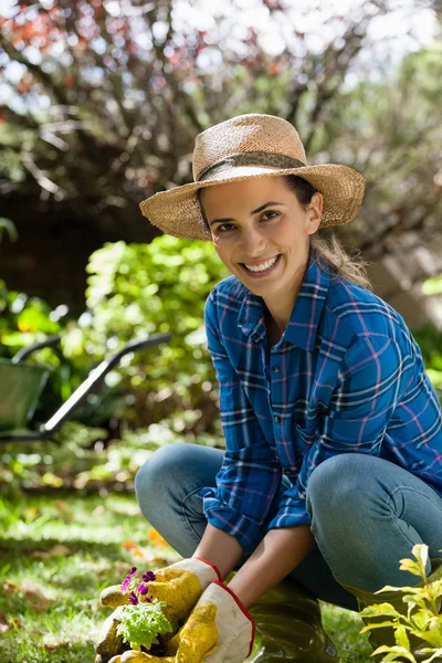 Mujer plantando plántulas — Foto de Stock