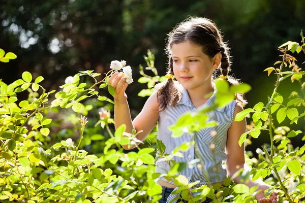 Ragazza guardando fiori bianchi — Foto Stock