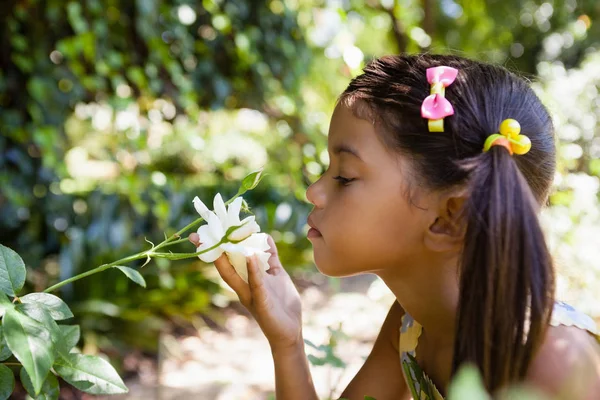 Mädchen riecht weiße Blume — Stockfoto