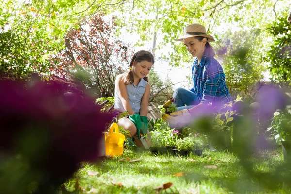 Mother with daughter looking at potted plants — Stock Photo, Image