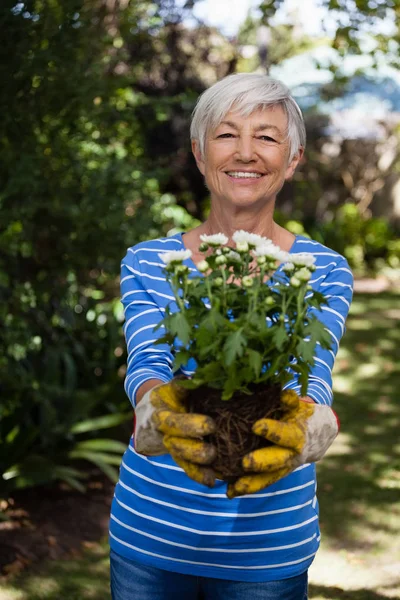 Senior kvinna som står med vita blommor — Stockfoto