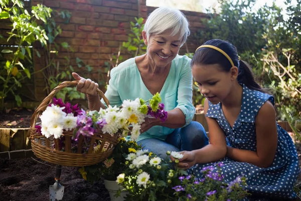 Seniorin trägt Blumenkorb — Stockfoto