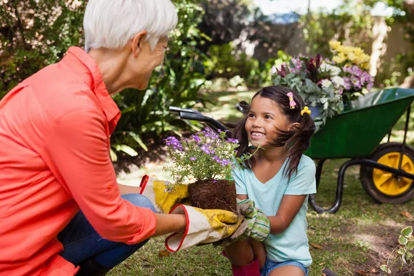 Girl and grandmother holding flowering pot — Stock Photo, Image