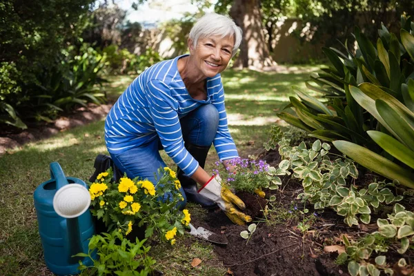 Seniorin pflanzt Blumen — Stockfoto