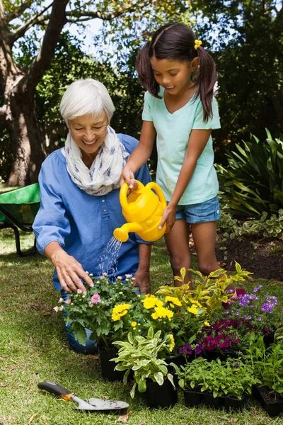 Старша жінка і дівчина поливають квіти — стокове фото