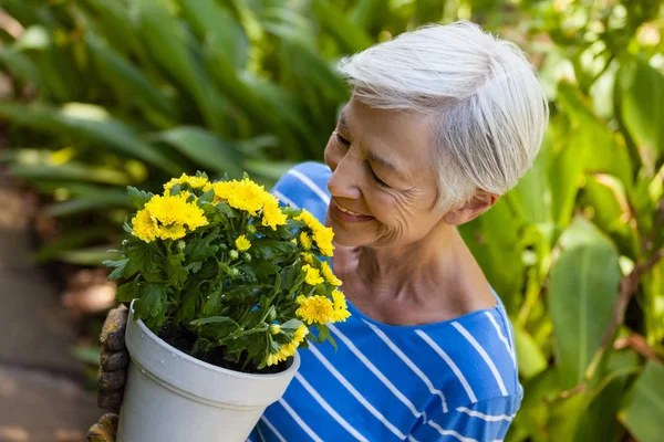 Senior Kvinna lukta gula blommor — Stockfoto