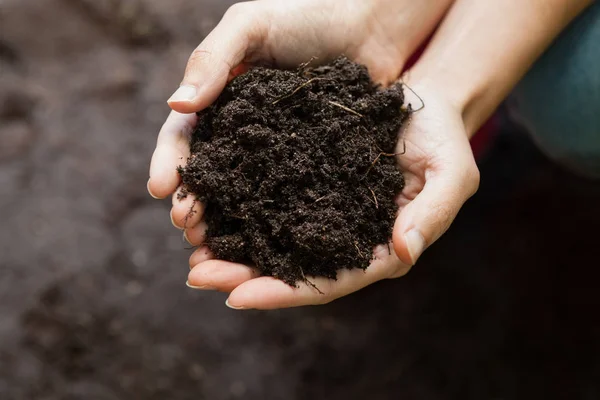 Giardiniere femmina che tiene il terreno — Foto Stock