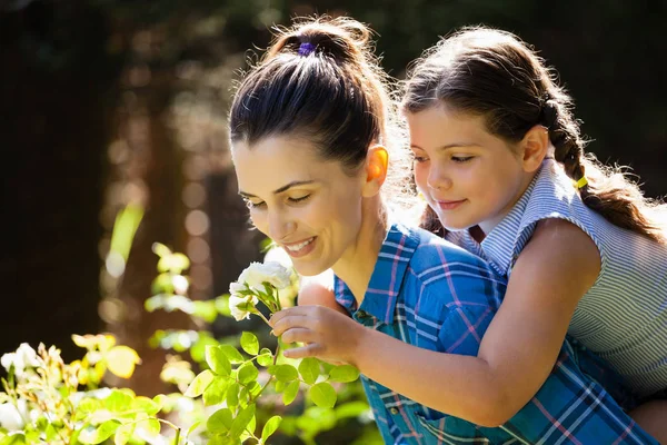 Figlia profumata rosa con madre — Foto Stock