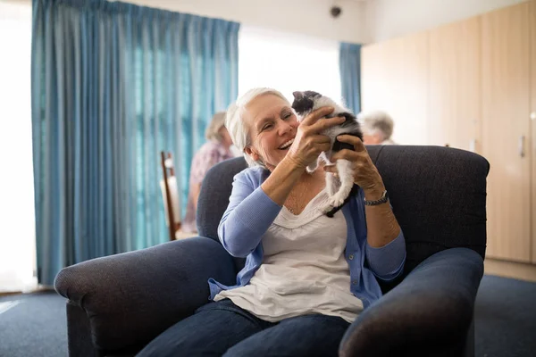 Fröhliche Seniorin hält Kätzchen — Stockfoto