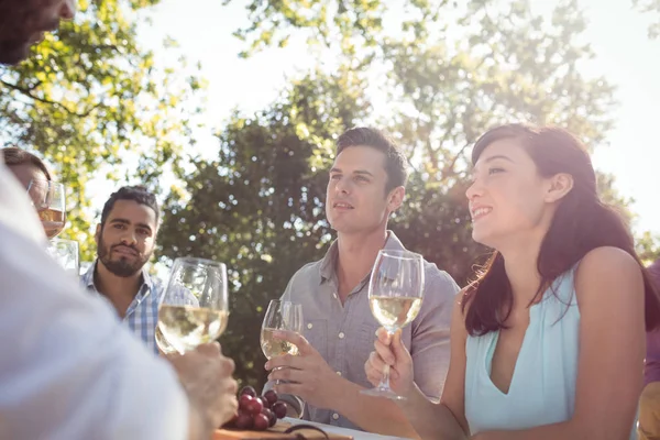 Group of friends interacting — Stock Photo, Image