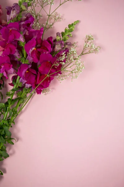 Vue aérienne des fleurs fraîches — Photo