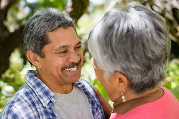 Pareja mayor romántica mirando cara a cara en el jardín — Foto de Stock