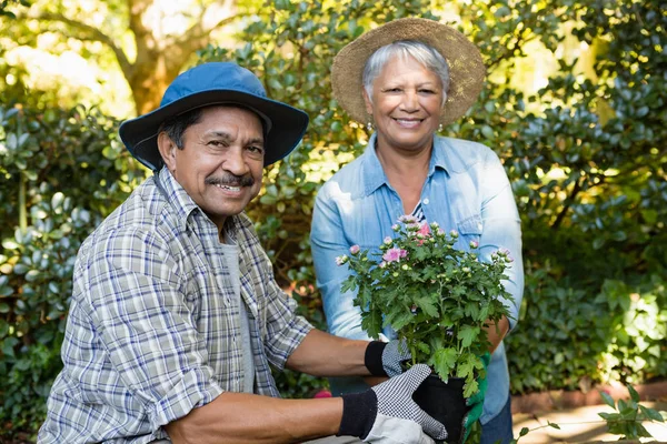 Pareja sosteniendo planta arbolada en el jardín — Foto de Stock