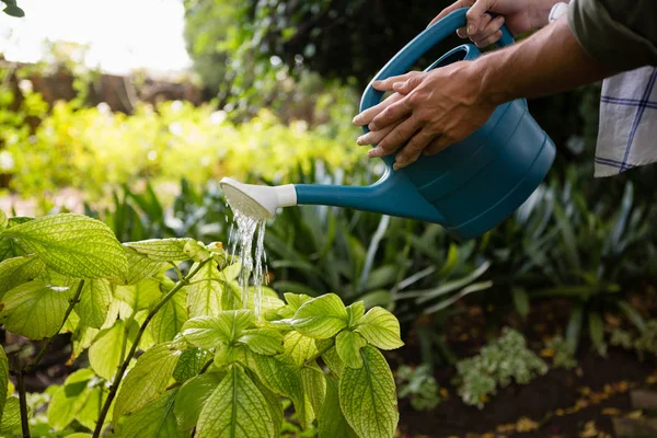 Milieu de la section des plantes d'arrosage couple avec arrosoir dans le jardin — Photo