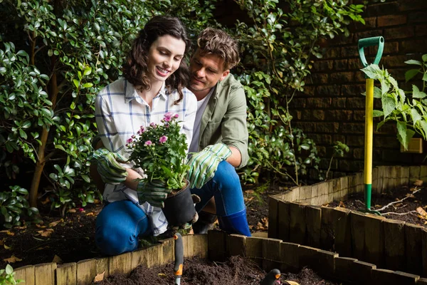 Pár se drží mladé rostliny v zahradě — Stock fotografie