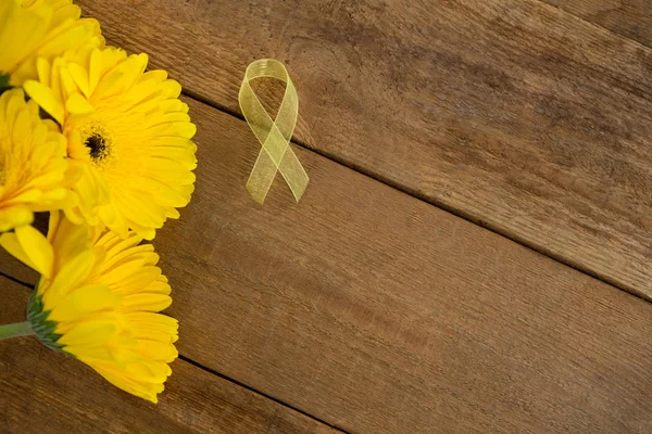 Sarcoma amarillo Cinta de conciencia por flores de gerberas — Foto de Stock