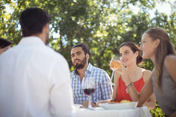 Grupo de amigos almorzando — Foto de Stock