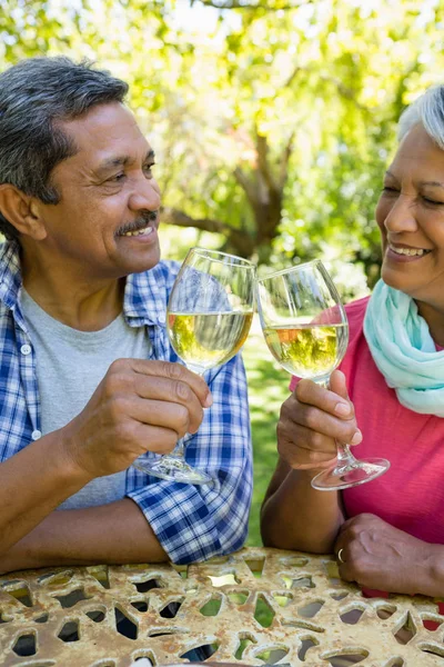 Senior couple toasting wine glasses — Stock Photo, Image