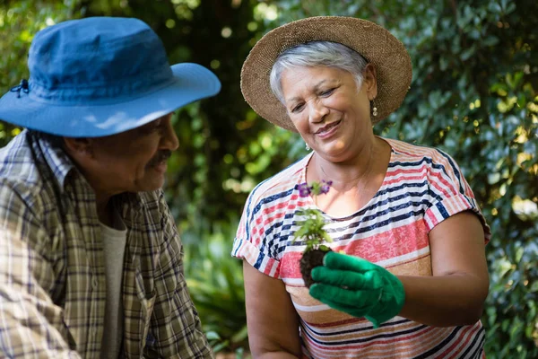 Couple interagissant les uns avec les autres pendant le jardinage dans le jardin — Photo