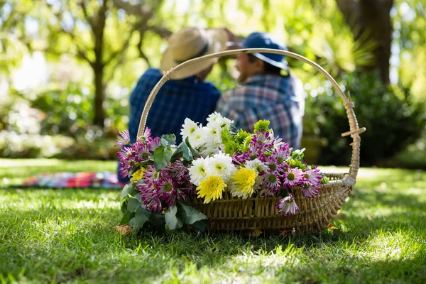 Senior couple taking a selfie in garden — Stock Photo, Image