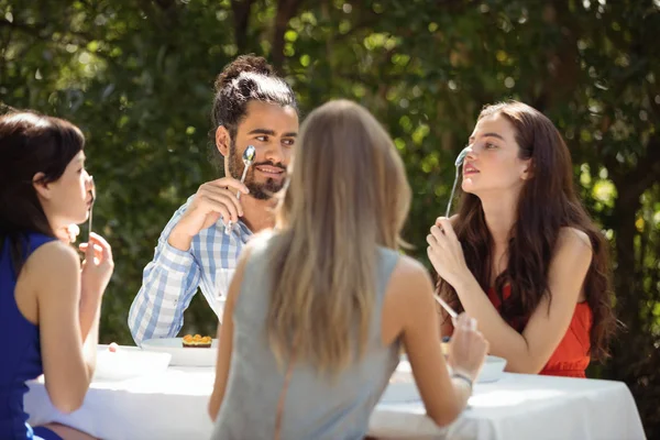 Grupo de Amigos Almoçando — Fotografia de Stock