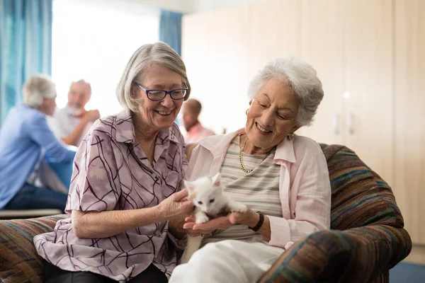 Female senior friends looking at kitten — Stock Photo, Image