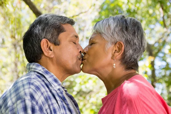 Pareja mayor besándose en el jardín — Foto de Stock