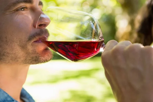 Homem bebendo copo de vinho tinto no parque — Fotografia de Stock