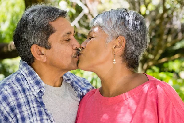 Äldre par kysser varandra i trädgården — Stockfoto
