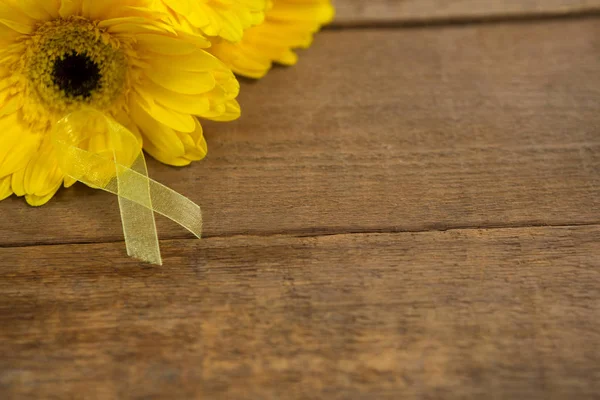 Sarkom Awareness ribbon av gerbera blommor — Stockfoto