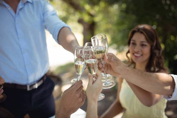 Gruppe von Freunden stößt Sektgläser an — Stockfoto