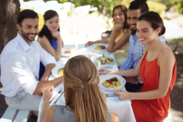 Group of friends having lunch — Stock Photo, Image