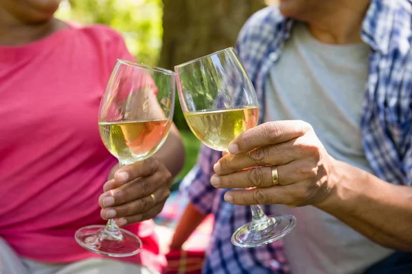 Pareja de ancianos brindando copas de vino en el parque — Foto de Stock