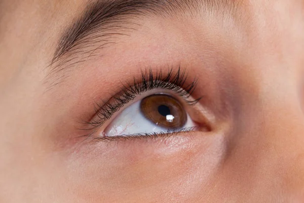 Chicas ojos con cejas —  Fotos de Stock