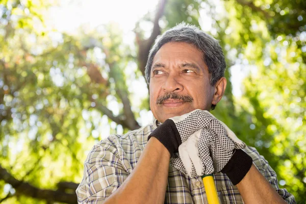 Man står i trädgården på en solig dag — Stockfoto