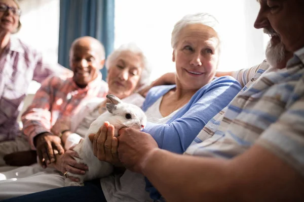 Seniorin hält Kaninchen — Stockfoto