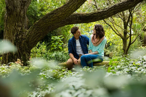 Romantiska par interagerar med varandra i trädgården — Stockfoto