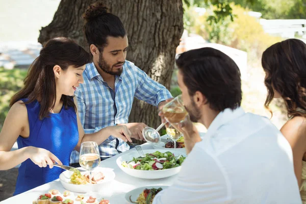 Grupo de amigos almorzando — Foto de Stock