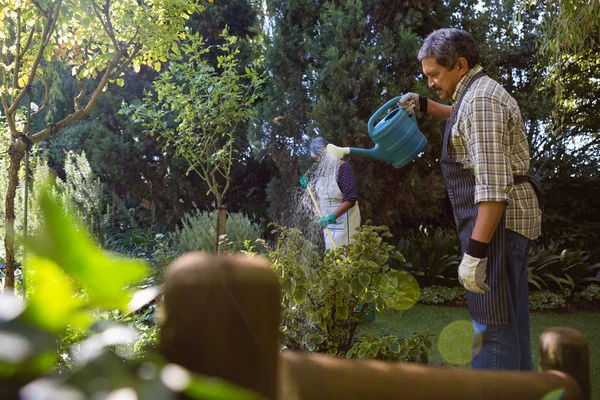 Homme âgé arrosant des plantes dans le jardin — Photo