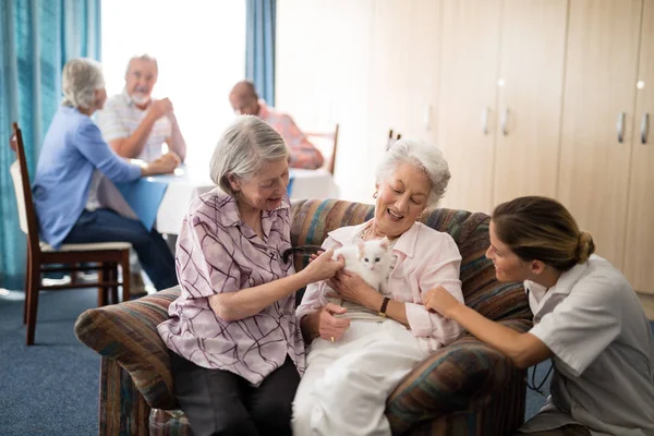 Senior vänner och kvinnliga läkare strök kattunge — Stockfoto