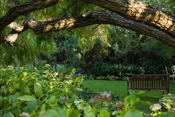 Visa av Tom bänk i trädgården — Stockfoto