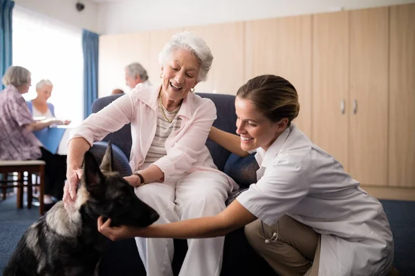 Médico feminino ajoelhado por mulher sênior acariciando cachorro — Fotografia de Stock