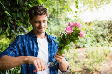 Man trimming flowers with pruning shears clipart