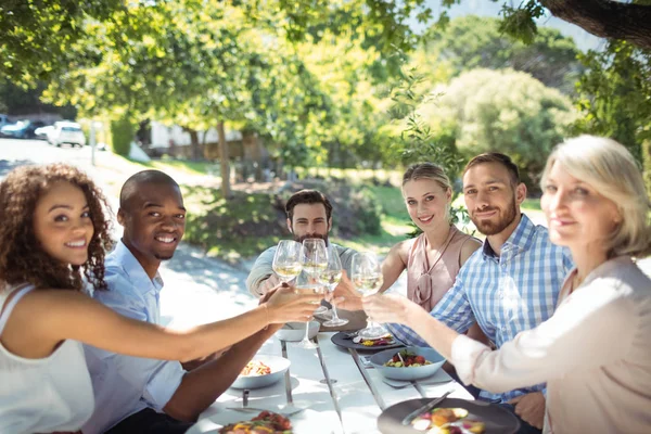 Group of friends toasting glasses of wine — Stock Photo, Image