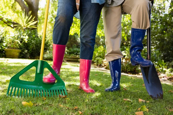 Senior couple standing in garden on a sunny day — Stock Photo, Image