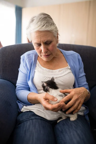 Femmes âgées tenant un chaton — Photo