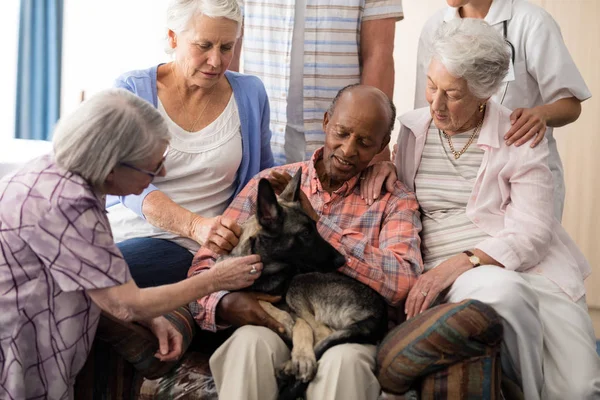 Senioren mit Arzt streicheln Hund — Stockfoto