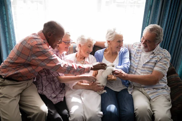 Senior friends playing with rabbit — Stock Photo, Image
