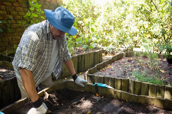 Senior man aanplant jonge plant in de bodem — Stockfoto