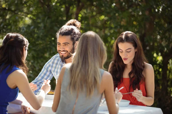 Groep vrienden na de lunch — Stockfoto